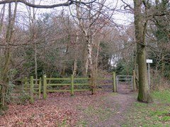 Bramley Bank Nature Reserve in London