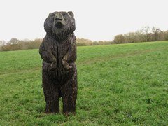 Selsdon Wood Nature Reserve in London